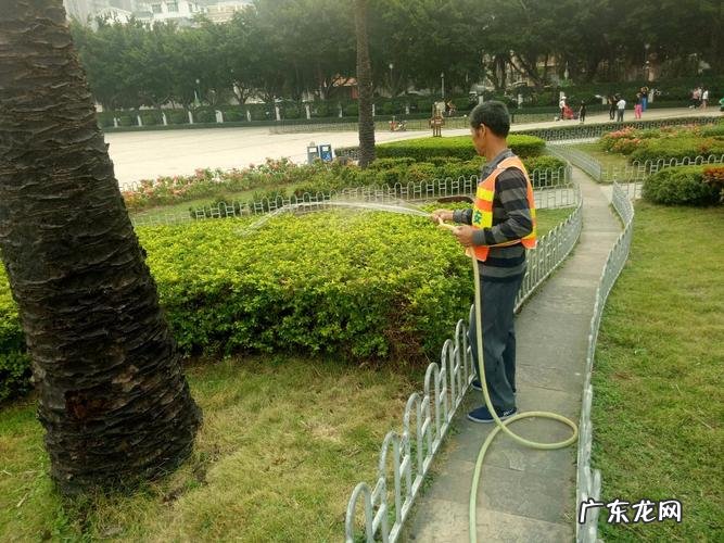 好一朵美丽的茉莉花 庭院如何种植茉莉花