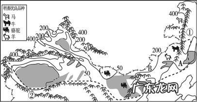 三大步骤,火龙果种植技术很简单 征途2火龙果怎么种植