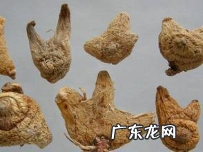 临安连续发布霜冻蓝色预警信号 白芨种植下雪怎么办