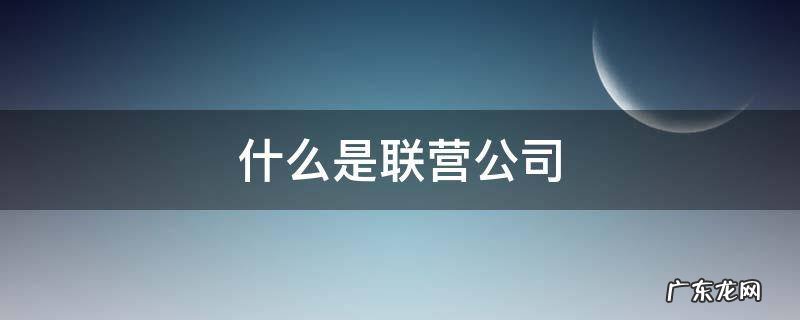 什么是联营公司