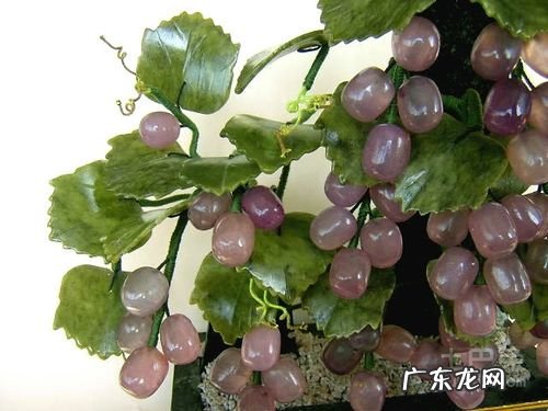 盆栽葡萄种植技术详细讲解 在花盆里如何种植葡萄