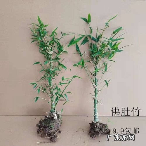 新房阳台装修自制瓷砖箱子 如何用磁砖做种植箱