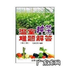 盆栽蔬菜走红 室内蔬菜种植市场怎么样