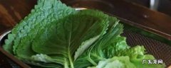 苏子叶储存生冻还是熟冻,苏子叶冻好还是腌好