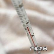 听听养花匠怎么说 紫背竹芋如何种植