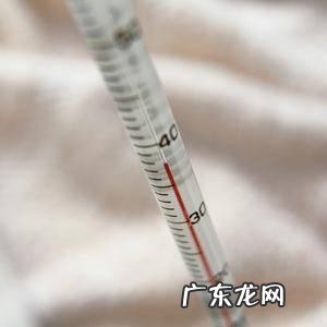 听听养花匠怎么说 紫背竹芋如何种植