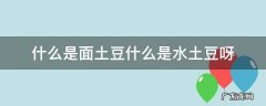 什么是面土豆什么是水土豆呀