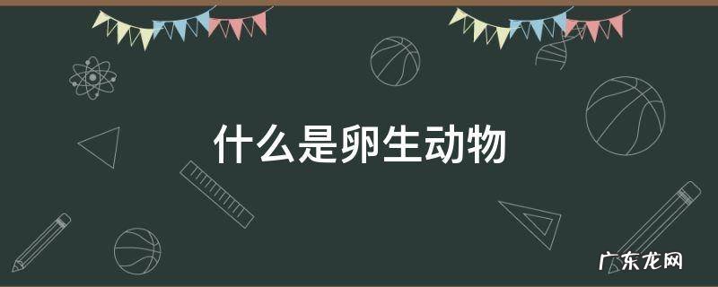 什么是卵生动物