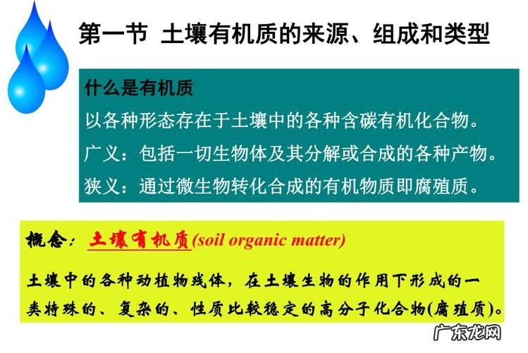 那是因为你不知道这些 盆花怎么种植技术