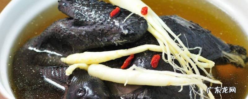 乌鸡汤是发物吗,公鸡汤是发物吗?