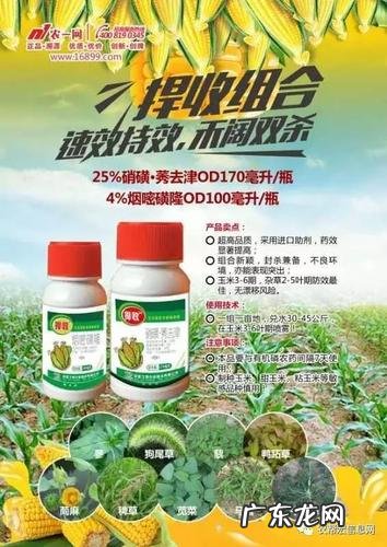 结合封闭、茎叶除草防治效果好 大面积种植包菜如何除草