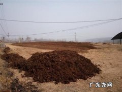 教你一个方法,家里长草就产肥料 种植肥料是怎么来的