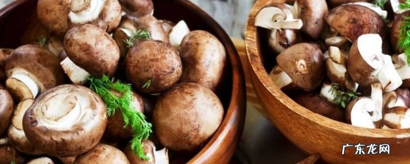 蘑菇煮多久,小鸡炖蘑菇煮多久