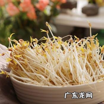 青豆摘都摘不完 发了芽的青豆怎么种植