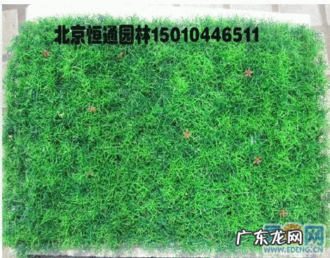 园林用处有哪些 地毯草种植如何验收