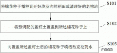 掌握这5个种植方法产量翻几番 蘑菇在大棚是怎么种植的