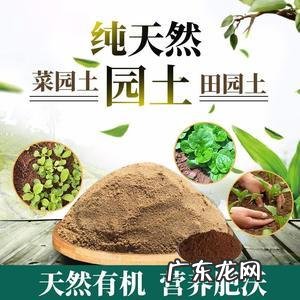 如何投资才让钻石更增值 钻石怎么种植最保值