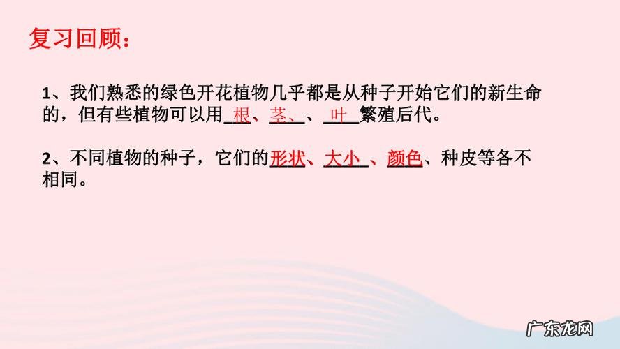 如何投资才让钻石更增值 钻石怎么种植最保值