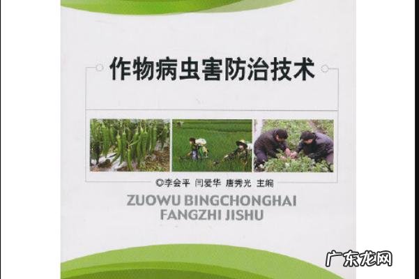 草莓种植老手有诀窍 以草莓为主该如何种植如何销售