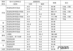 从春到冬每个季节都有不同侧重点 矿山绿化种植树木如何管理