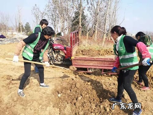 冬瓜的种子处理方法和种植技术 冬瓜种植前种子如何处理
