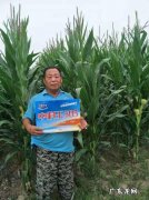 做好5个要点,保证收获优质辣椒 小院怎么种植辣椒