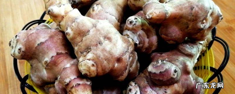 洋姜为什么不开花,洋姜不开花能结果实吗