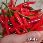 什么样的种子才是优质种子 地瓜怎么种植不长芽