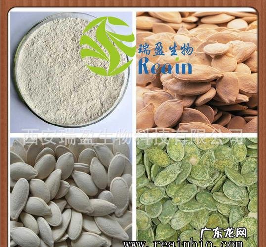 “我可不是什么好吃的 我的世界南瓜怎么种植迪哥