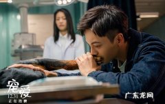 宠爱里面的豪七真实主人 宠爱里的豪七是什么品种
