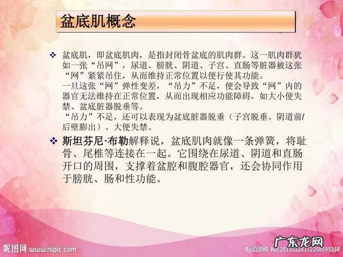 多肉养护不用“土” 多肉怎么种植无土