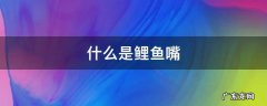 什么是鲤鱼嘴
