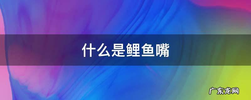 什么是鲤鱼嘴