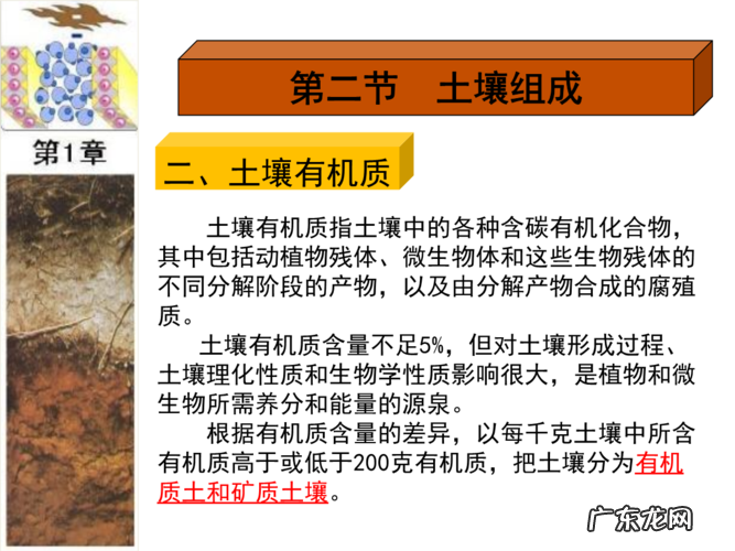 花友们不要着急 鱼骨令箭如何种植
