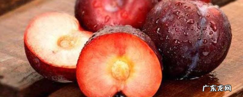 李子怎么保存到冬天,李子怎么保鲜储存