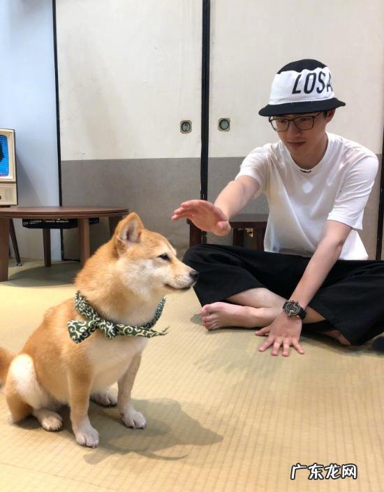 你会期待 王源用掌纹比喻彩胶的独特