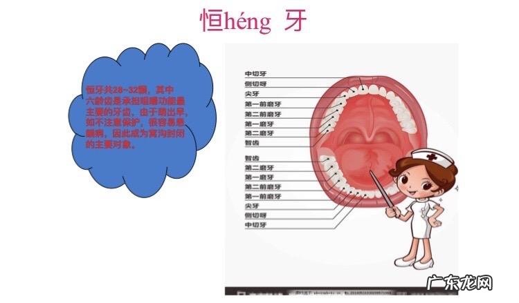 种植牙暂不纳入医保范围 种植牙牙齿缺失怎么办