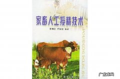 山药种植的三种方式 商洛大山药怎么种植
