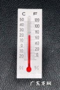 花期不断、不黄叶、不落叶 玫瑰花开满了怎么种植