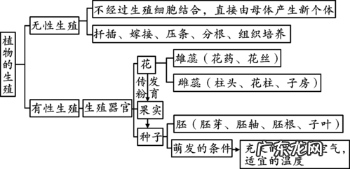 简单几点轻松花开满盆 白顶鹤怎么种植