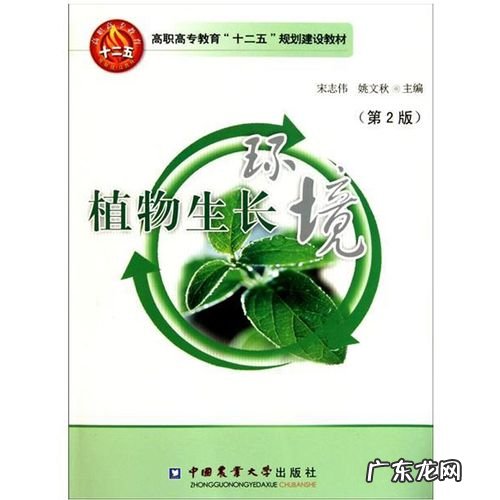 老园丁不外传的秘诀都在这 观赏荷花冬天怎么种植