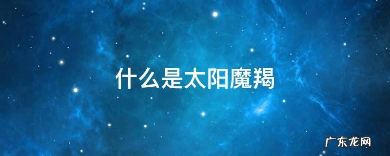 什么是太阳魔羯