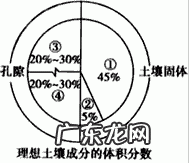 外行才这样说 菩提籽如何种植