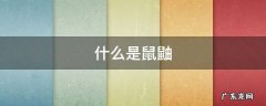 什么是鼠鼬