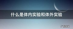 什么是体内实验和体外实验