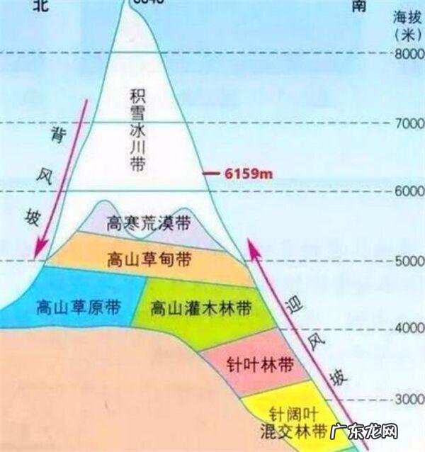 一颗种子的答案——雪域高原播种者钟扬的“精神珠峰” 延时看珠峰植物种子萌发