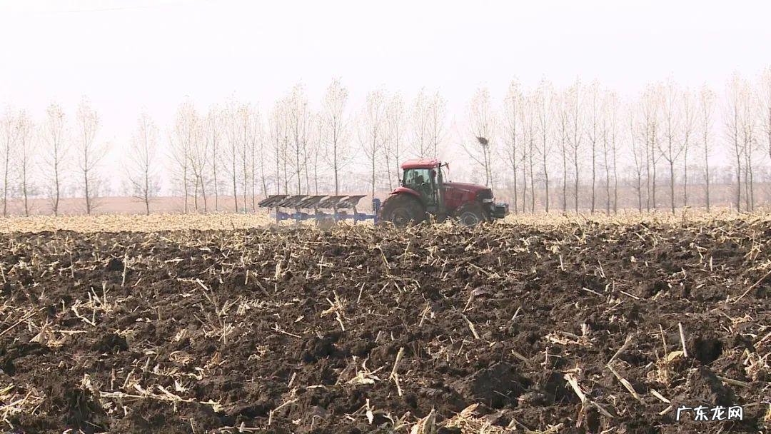 这5个关键技巧要知道 园林怎么种植绿化草
