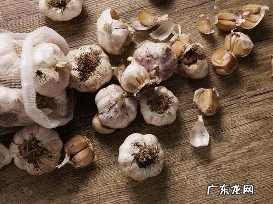 这三个方法,一亩多产上千斤 蒜头怎么种植才能收