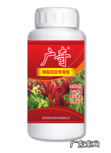 农业专家分享两个实战经验 红薯种植如何控旺