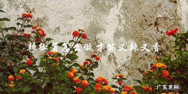 教你制作又辣又香的辣椒酱,不容错过!